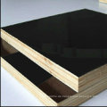 Black Film konfrontiert Sperrholz oder Marine Wood